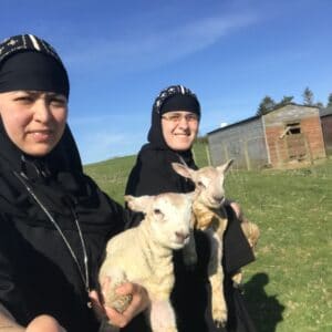 St. George Abbey Ireland - Farm lamb